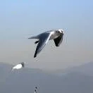 哈哈