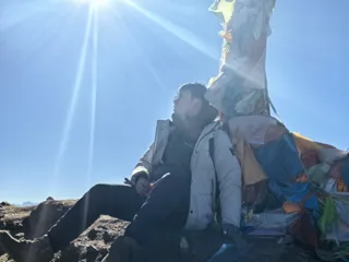 戴稿
