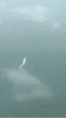 山私