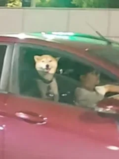 帖子图片 1