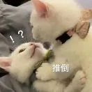 来来